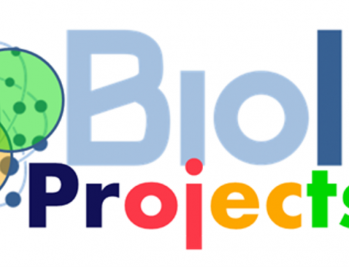 BioISI Projects 2022