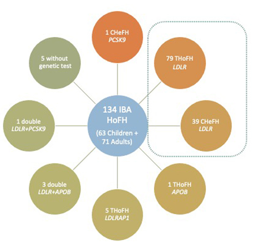 Phenotypical, Clinical, and Molecular Aspects of Adults and Children ...