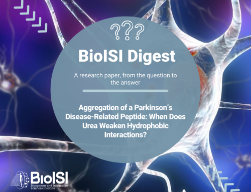 BioISI Digest | Aggregation of a Parkinson’s Disease-Related Peptide: When Does Urea Weaken Hydrophobic Interactions?
