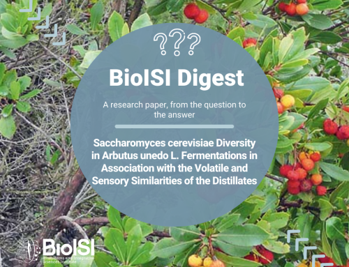 BioISI Digest | Saccharomyces cerevisiae Diversity in Arbutus unedo L. Fermentations in Association with the Volatile and Sensory Similarities of the Distillates