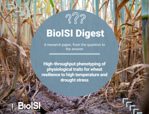 BioISI Digest | High-throughput phenotyping of physiological traits for wheat resilience to high temperature and drought stress