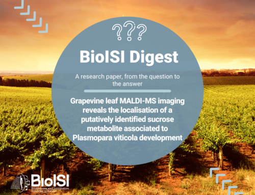 BioISI Digest | Grapevine leaf MALDI-MS imaging reveals the localisation of a putatively identified sucrose metabolite associated to Plasmopara viticola development