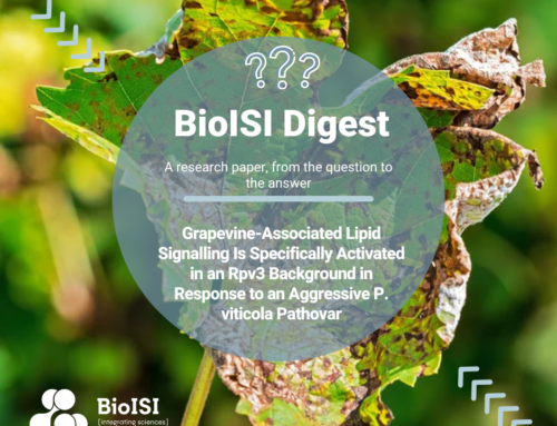 BioISI Digest | Grapevine-Associated Lipid Signalling Is Specifically Activated in an Rpv3 Background in Response to an Aggressive P. viticola Pathovar