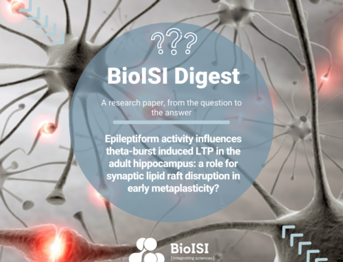 BioISI Digest | Epileptiform activity influences theta burst induced LTP in the adult hippocampus: a role for synaptic lipid raft disruption in early metaplasticity?