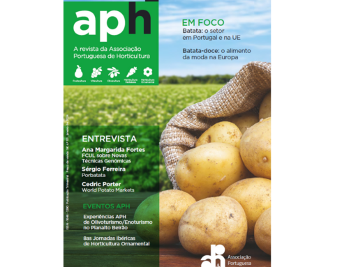 Ana Margarida Fortes interviewed by the Journal of the Portuguese Association of Horticulture about new genomic technologies